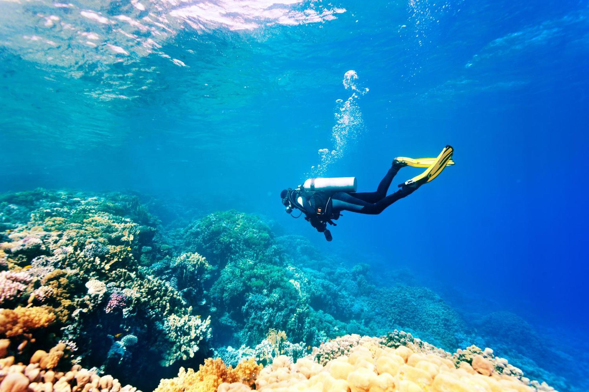 Dormio Bonaire Village Εξωτερικό φωτογραφία