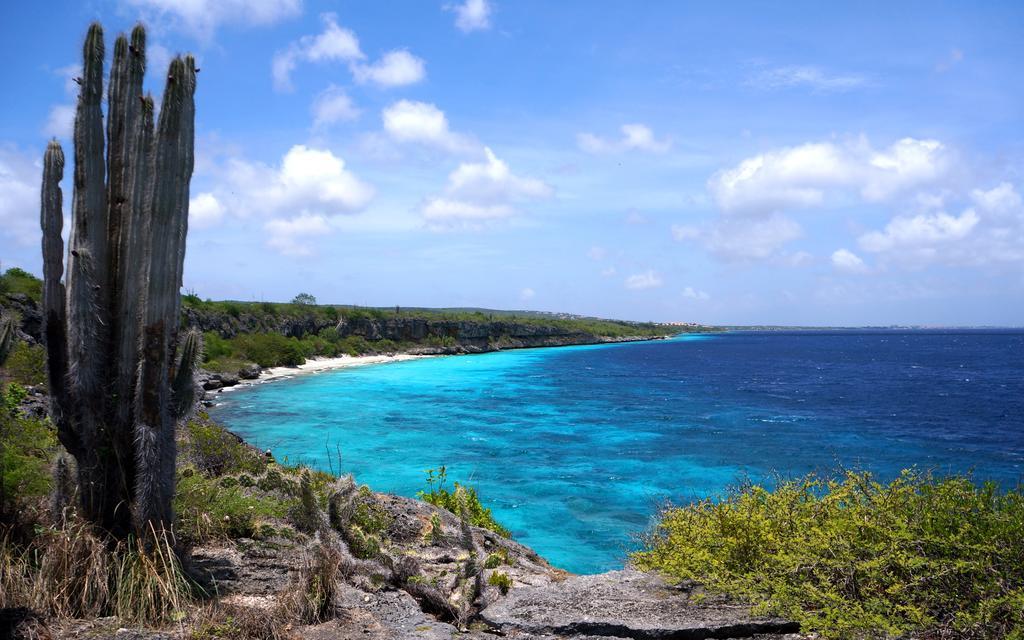 Dormio Bonaire Village Δωμάτιο φωτογραφία